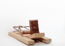 Краснодарские полицейские раскрыли серию мошенничеств