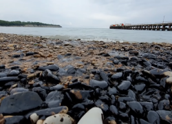  Жители Анапы, Геленджика и Тамани нашли на пляжах и в море следы нефтепродуктов 