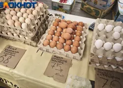 В Краснодарском крае за неделю подорожали яйца и куриное мясо