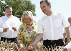 Губернатор Кубани потребовал сократить количество проверок для предпринимателей