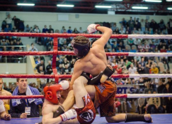  В «Адлер-Арене» Олимпийского парка пройдет международный турнир по смешанным единоборствам