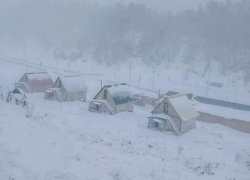 «Только начал зеленеть лес»: на Краснодарский край и Адыгею обрушилась вторая зима