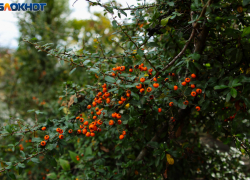 Вторая неделя ноября начнется в Краснодаре с переменчивой погоды