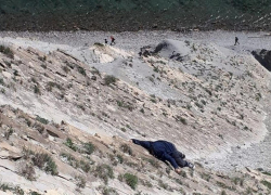 С горы Колдун в Новороссийске спасатели сняли подростка