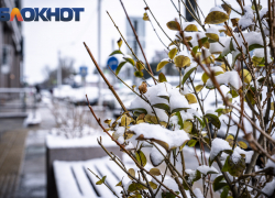 Под голубыми небесами: какие изменения и новые законы ожидают жителей Краснодарского края с 1 января 2025 года