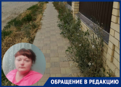 Заброшенный участок около коттеджного поселка мешает гулять маме с ребенком-инвалидом