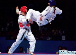 Кубанцы привезли 6 медалей с чемпионата России по тхэквондо