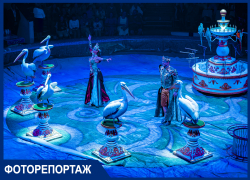 В Краснодаре состоялась премьера «Королевского цирка»