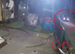 Неизвестный устроил стрельбу в краснодарском «Сафари-парке»