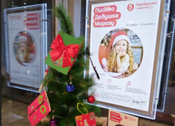 Благотворительная акция от «Пятёрочки» поможет краснодарцам подарить детям чудо