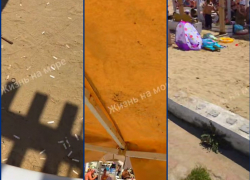 «Здесь можно снимать фильм ужасов»: какой курорт Кубани шокировал местного блогера