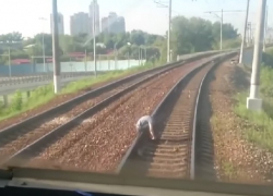 Под Краснодаром поезд насмерть сбил мужчину