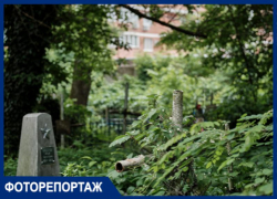  Дома на костях и разговоры о призраках: как живут краснодарцы рядом со старинным кладбищем