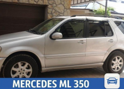 В Краснодаре недорого продаются 235 лошадей с немецким комфортом