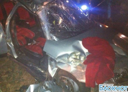 В Краснодарском крае «Лада» на высокой скорости въехала в дерево