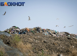 Три комплекса по переработке мусора собираются построить на Кубани 