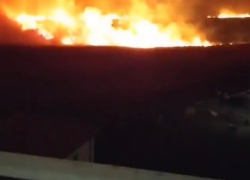 Сразу 10 лесных пожаров разгорелись на Кубани