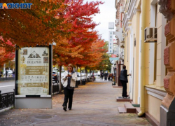 За неделю до зимы в городах Кубани зафиксировано рекордное тепло 
