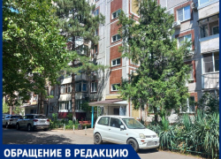 Тошнотворный запах и антисанитария: краснодарка заполонила квартиру кошками и кошмарит соседей