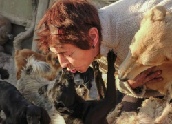 Сотни собак погибли при пожаре в приюте для беспризорных животных