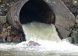 Жители одного из поселков Сочи загрязняли Черное море