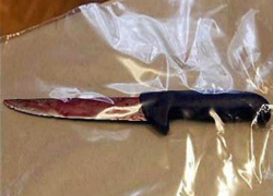 В Краснодарском крае местный житель убил брата кухонным ножом