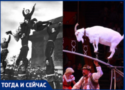 «Тогда и сейчас»: какие цирки развлекали краснодарцев в разные времена