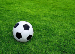 В крае стартовала акция «Кубань навстречу чемпионату мира по футболу в Сочи»