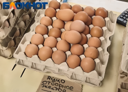 Стоимость яиц резко рухнула после праздников в Краснодаре