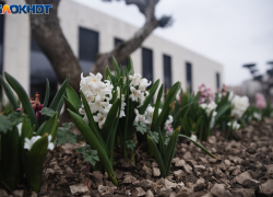 Краснодарцам придётся приготовить дождевики и зонтики