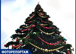 Главную городскую ёлку Краснодара нарядили к Году Дракона: фоторепортаж