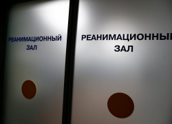 Число летальных случаев от коронавируса на Кубани приблизилось к 500