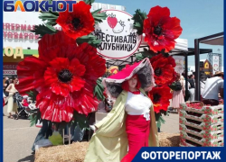 Море ягод и масса веселья: показываем цены и ассортимент на популярном фестивале клубники в Краснодаре  