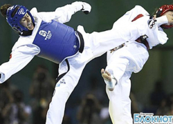 В Краснодаре стартует чемпионат края по тхэквондо