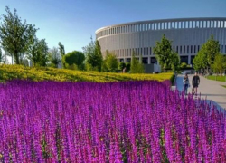 Жителей Краснодара восхитила «новая локация» в парке Галицкого