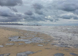 «Восстановление займет десятки лет»: эксперт о последствиях разлива нефтепродуктов на Кубани