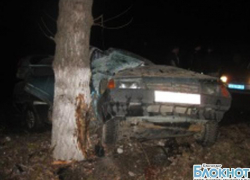 В Крымске автомобиль съехал с дороги и врезался в дерево