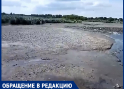 «Бедные рыбы, cтрадает экология»: жители Краснодарского края бьют тревогу из-за спуска водоёма 