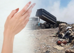 Задушил и расчленил: стали известны подробности расправы над хозяйкой найденной на свалке Анапы руки