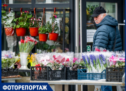 Под Краснодаром показали цены на цветы к 8 Марта