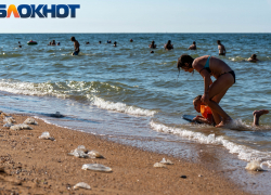 Разлагающиеся медузы, испуганные дети, отчаянные туристы: краснодарец об отдыхе на пляжах Азовского моря