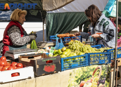 Бешеный рост цен на яйца остановился на Кубани: в лидерах теперь овощи 