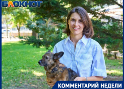 Кровопийцы вышли на охоту: действенные средства защиты питомца от клещей назвала ветеринар из Краснодара