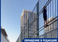 «Дети сидят на заборах»: микрорайон в Краснодаре оккупировала стая собак 
