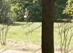 Мастурбирующего мужчину заметили в Ботаническом саду Краснодара: «он ходит сюда несколько лет»