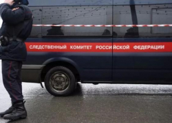 В Гулькевичском районе погибли бабушка и внучка