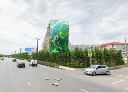 В честь ФК «Краснодар» появилось интерактивное граффити 