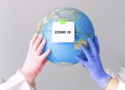 На Кубани 20 марта COVID подтвердили у 542 человек