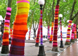 Новогодний street art: в Краснодаре украсили деревья вязаными "шарфиками"