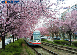 Маршрут двух трамваев изменится из-за ремонтных работ у Краснодарской ТЭЦ